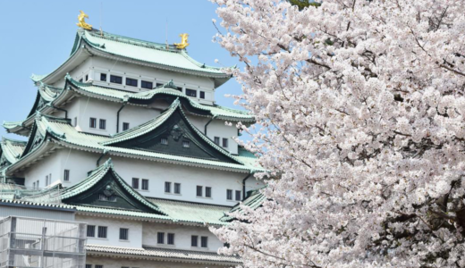 Japan's Top Cherry Blossom Spots: A Guide to Famous Sakura Viewing Locations