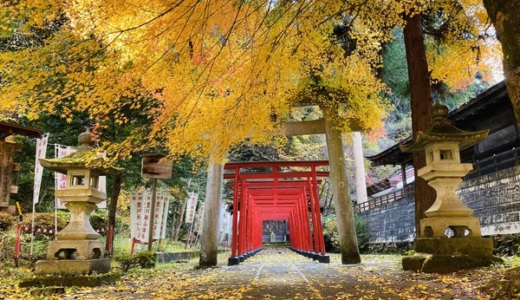 Japan’s Autumn Foliage Season: Must-Visit Scenic Spots